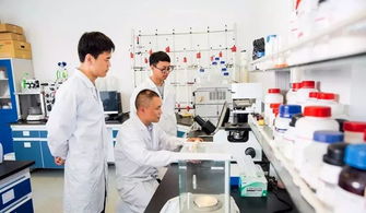 中國制造業(yè)第一縣聚力互聯(lián)網銷售轉型，新華日報頭版頭條聚焦產業(yè)升級新篇章